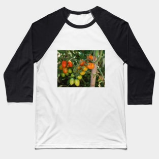 Date Tomatoes Ripening on Vine Baseball T-Shirt